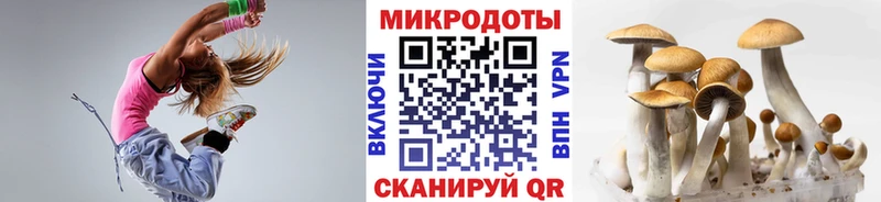 Псилоцибиновые грибы Magic Shrooms Апрелевка